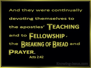 Acts 2:42 They Devoted Themselves To The Apostles Teaching (green)